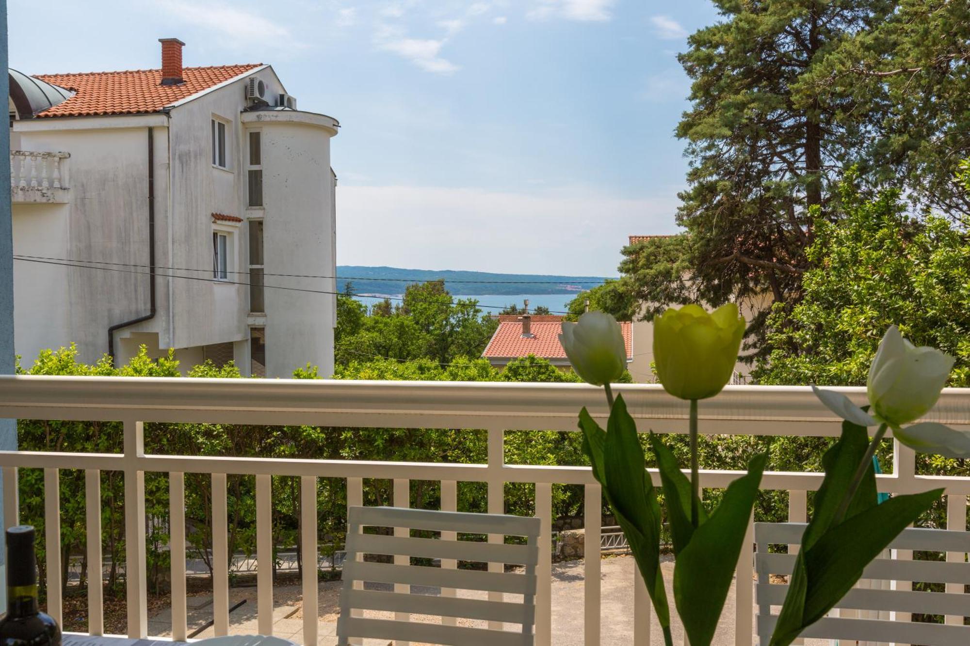 Apartmán Podvezanec *